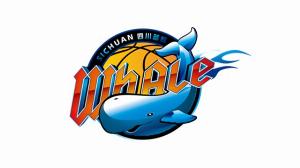 积重难返！四川主场23分失利 苦吞开赛23连败